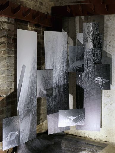  Installation: wo sind sie geblieben 